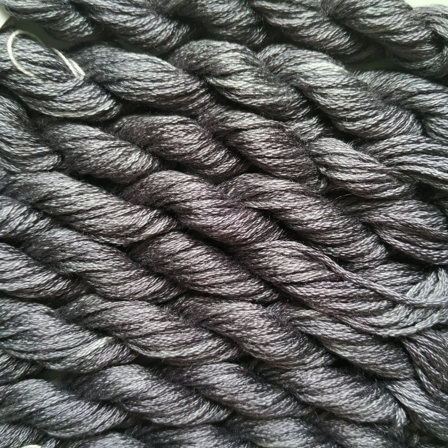 019 mini